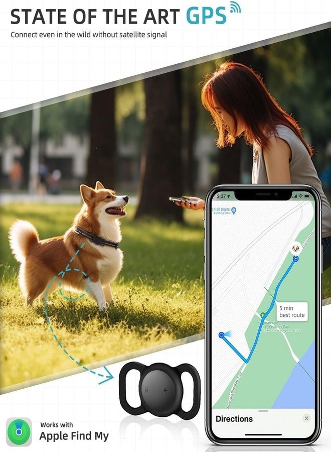 Vebiso iOS Smart GPS Dog Collar, Mini Pet Activity Tracker No Monthly fee 1 Pack - Image 2