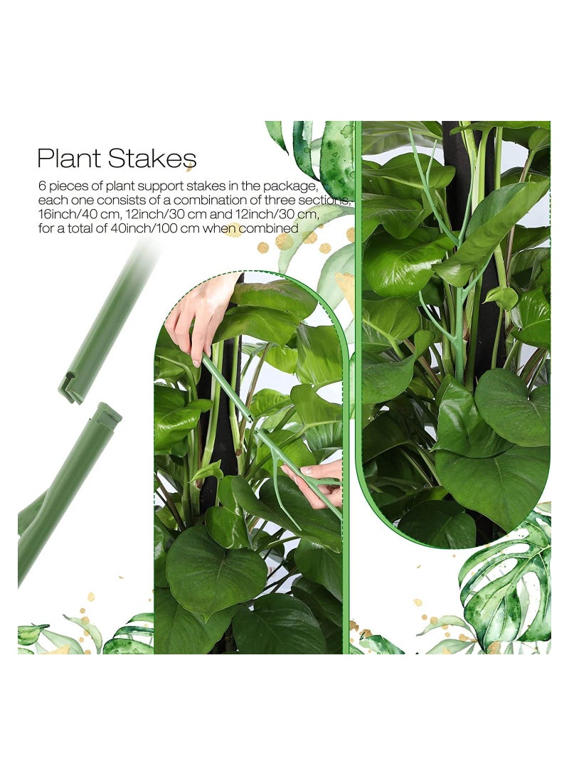 SYOSI Plant Support Stakes, 40 Inch Adjustable Twig Trellis for Potted Plants Flower Supports Indoor Outdoor Plants, Green, 6 Pieces - Image 3