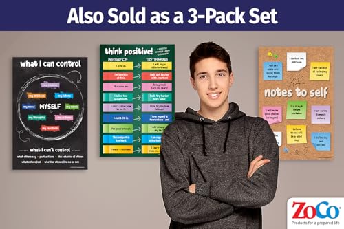 ZOCO – Things I Can Control Poster – Mental Health & Growth Mindset Tool for Teens – SEL Wall Art for Classrooms, Counseling & Therapy – Laminated 12"x18" - Image 5
