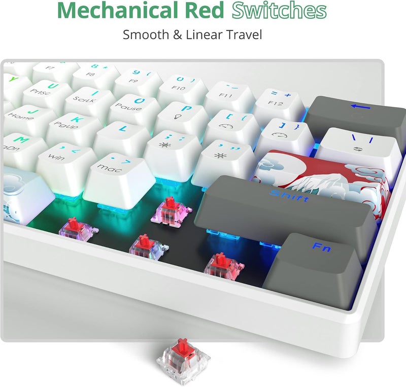 Owpkeenthy لوحة مفاتيح ميكانيكية RGB بنسبة 60% من مع مفاتيح حمراء، لوحة مفاتيح ألعاب سلكية فائقة الصغر مع إضاءة خلفية وأغطية مفاتيح PBT مصبوغة بالحرارة لنظام ويندوز/ماك/كمبيوتر (أبيض/مفتاح أحمر) - Image 3