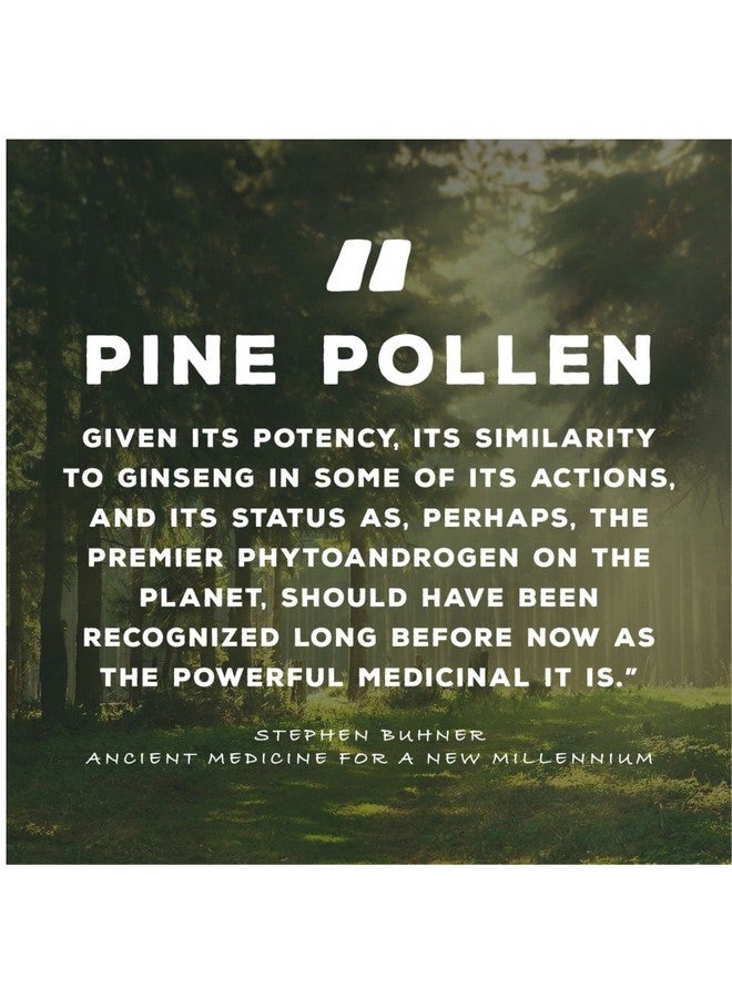 Surthrival: Pine Pollen Gold Extract (1 fl oz), Wild Harvested, Energy Restoration - Image 5
