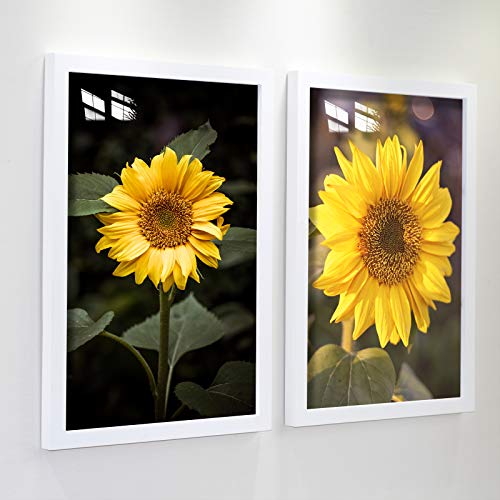 KAOIKO 16x20inch Picture Frame 2 Pack White Solid Wood Display Pictures 12x16 with Mat or 16x20 Wall Without Mounting Photo Frames（2pcs） - Image 2