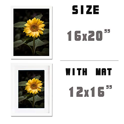 KAOIKO 16x20inch Picture Frame 2 Pack White Solid Wood Display Pictures 12x16 with Mat or 16x20 Wall Without Mounting Photo Frames（2pcs） - Image 4