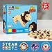 Pix Brix Wild Kratts Toy Pixel Art Kit Lion 498 Pieces Patented Slide Stack Pixel Puzzle Building Bricks Build Collect Wild Kratts Animals Stem Toys Ages 6 Plus - Image 4