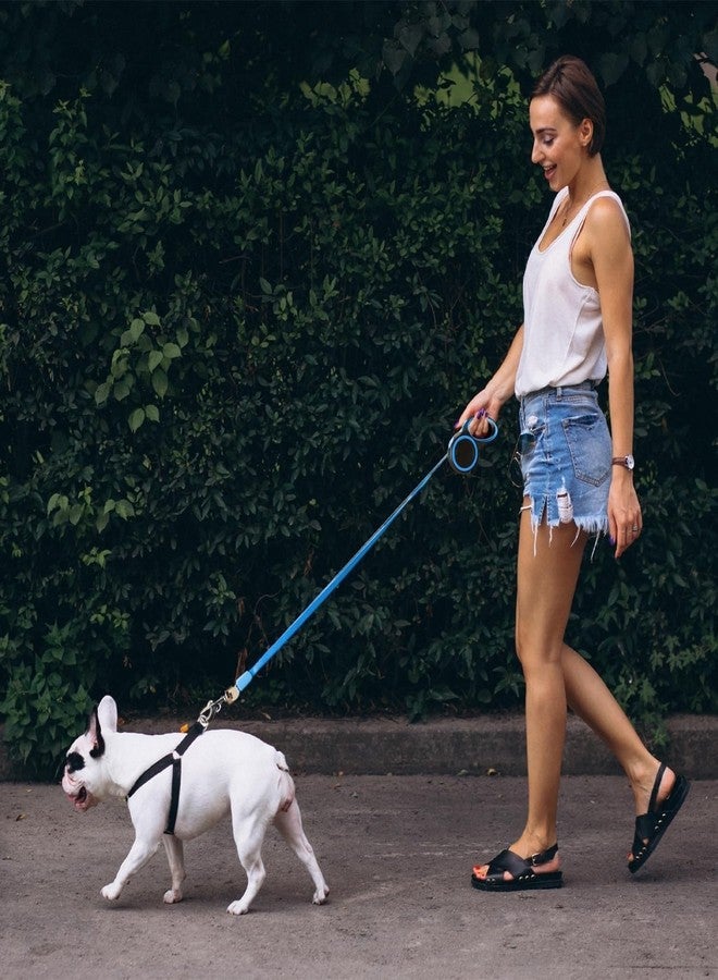 Tinytotem Retractable Dog Leash | 5 Meter | for Large Dogs Up to 50 Kg | Heavy Duty Leash for Pets | Strong Nylon Tape, Anti-Slip Handle, Built in Spring, One-Click Brake Pause | Blue - Image 2