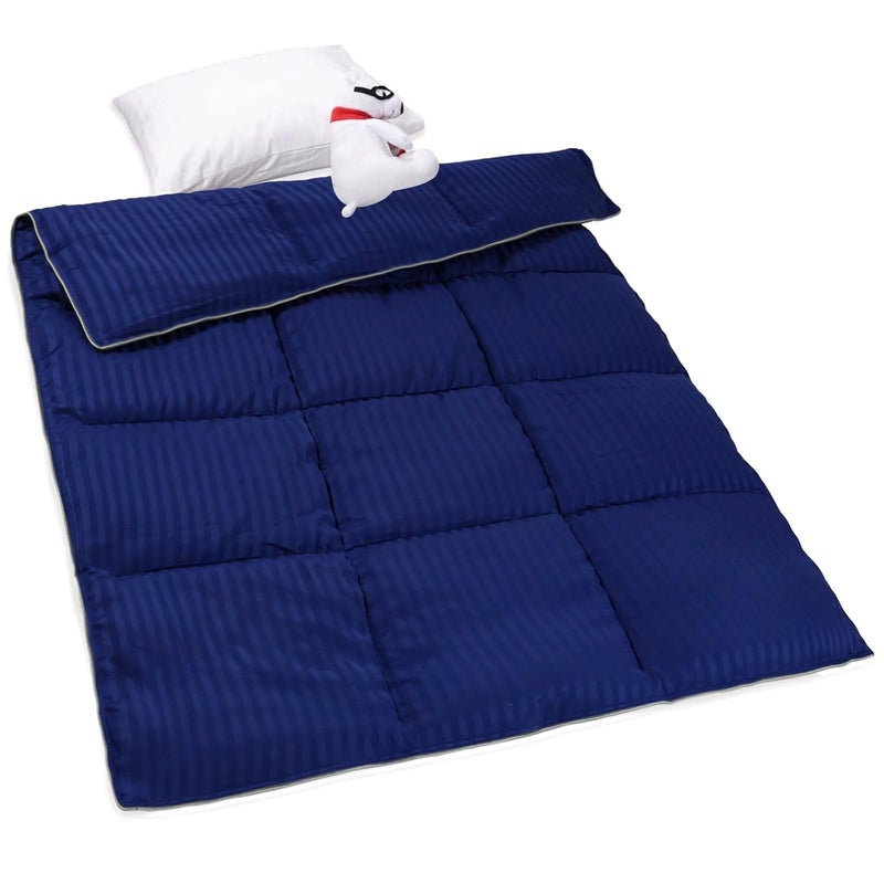 ZPECC Toddler Down Alternative Comforter, 39x47 Hypoallergenic Baby Blanket Quilt, Soft Breathable Lightweight All Season Kids Duvet Insert for Crib Stroller Cot Daycare, Blue Stripe - Image 1
