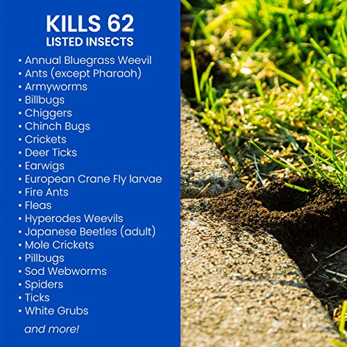 BioAdvanced Complete Brand Insect Killer for Soil and Turf, Ready-to-Spray, 32 oz, Outdoor Ant Killer - Image 2
