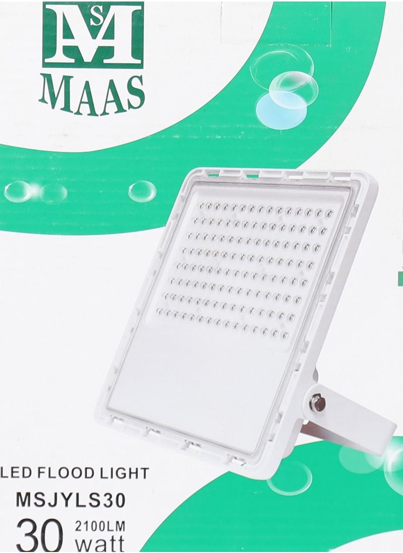 MAAS - 30 Watts Electric Torch - Image 1
