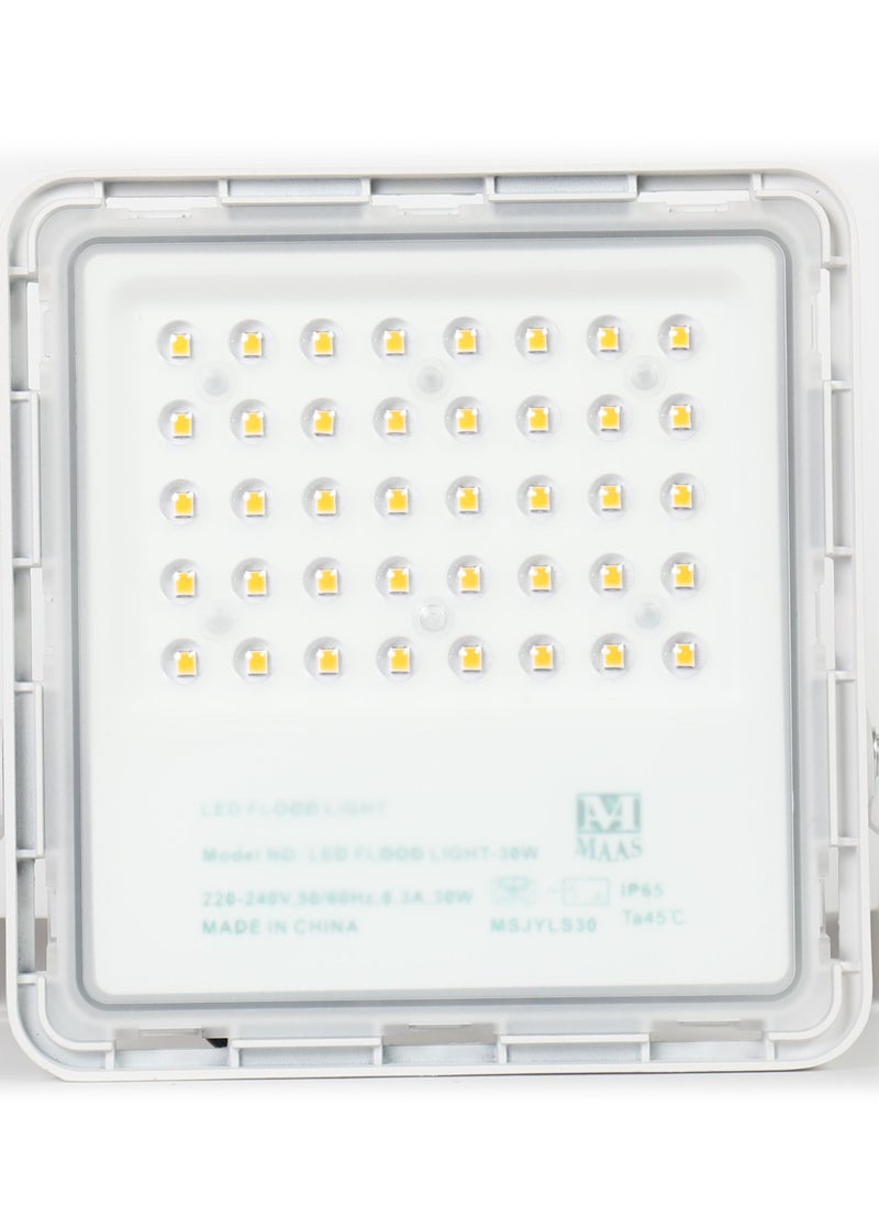 MAAS - 30 Watts Electric Torch - Image 1