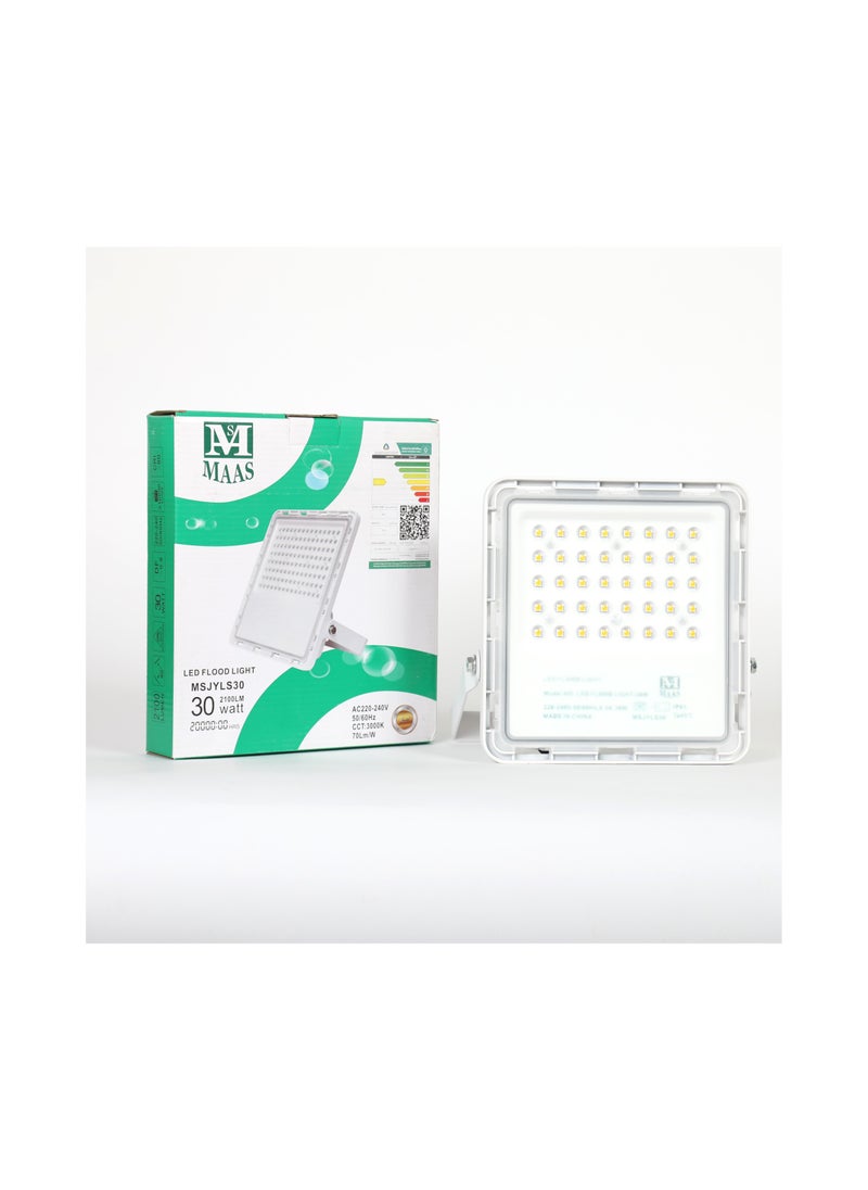 MAAS - 30 Watts Electric Torch - Image 1