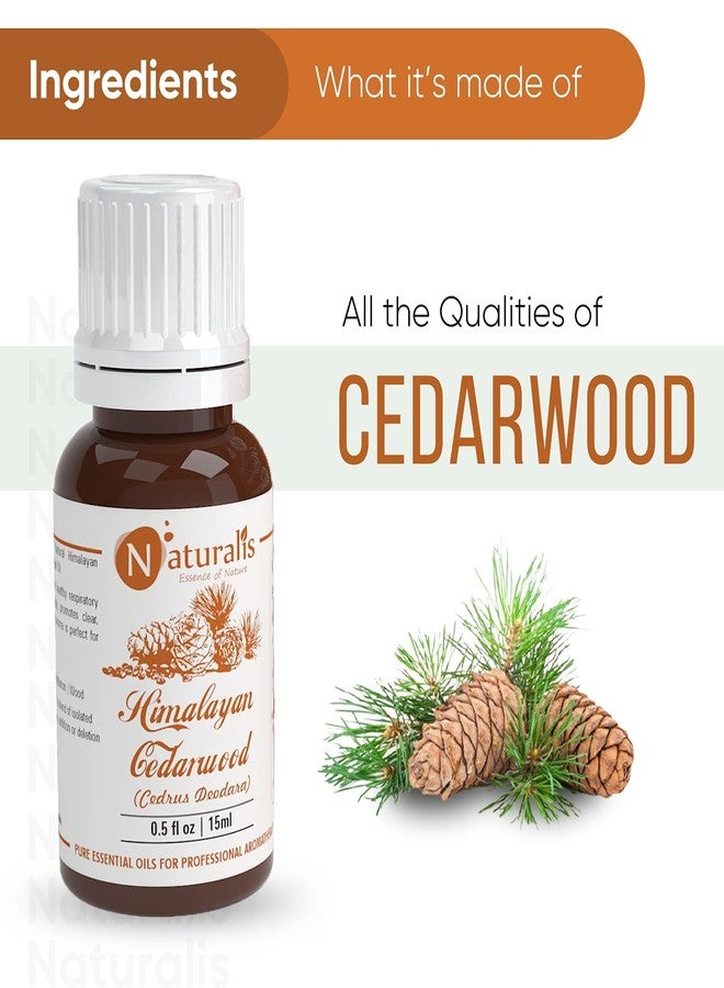 Naturalis Essence of Nature Himalayan Cedarwood Essential Oil for Skin, Hair and Aromatherapy - 15ml - Image 3