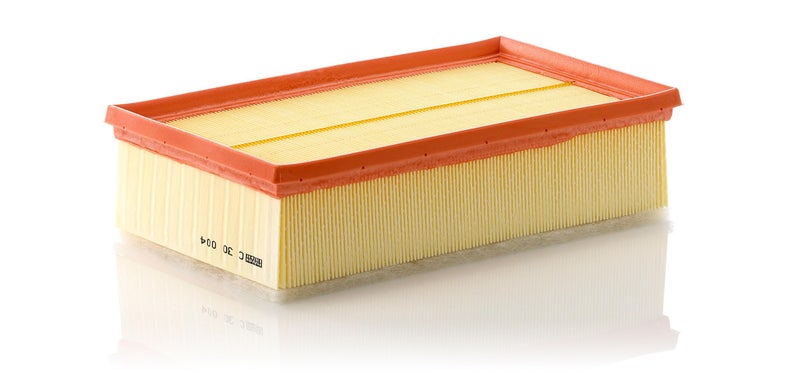 MANN FILTER MANN-FILTER C 30 004 Air Filter - Image 2