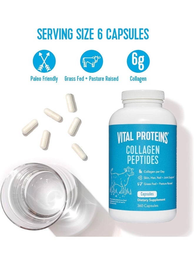 Vital Proteins فيتال بروتينز، ببتيدات الكولاجين، 550 ملغ، 360 كبسولة - Image 5