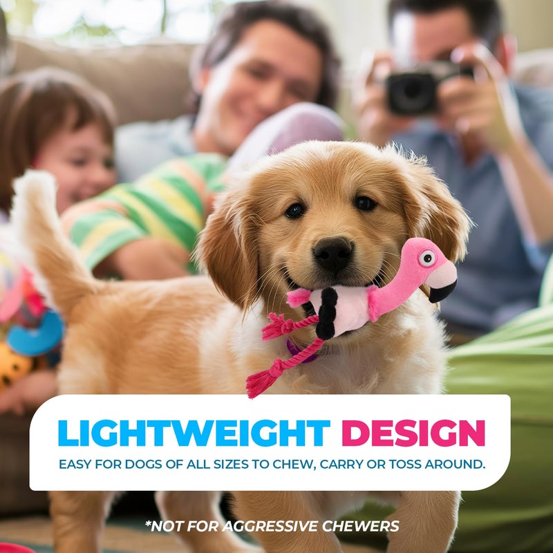 أوول فور بوز لعبة دي جيه فلامنجو بموجات فوق صوتية - حجم صغير - Image 5