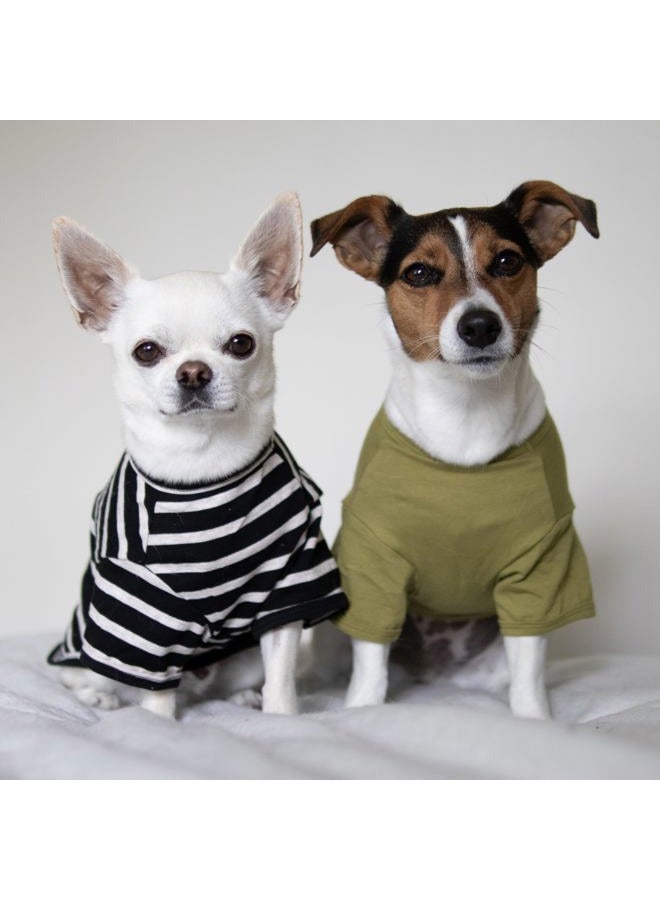 Fitwarm 3 Pack Color Block Striped Dog Shirt, Summer Dog Clothes for Small Dogs, Breathable Lightweight Pet Tshirt with Sleeves, Chihuahua Outfit, Oliver Green, Grey, Black, XS - Image 2