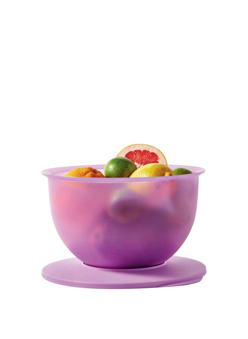 Bowl 4.3L