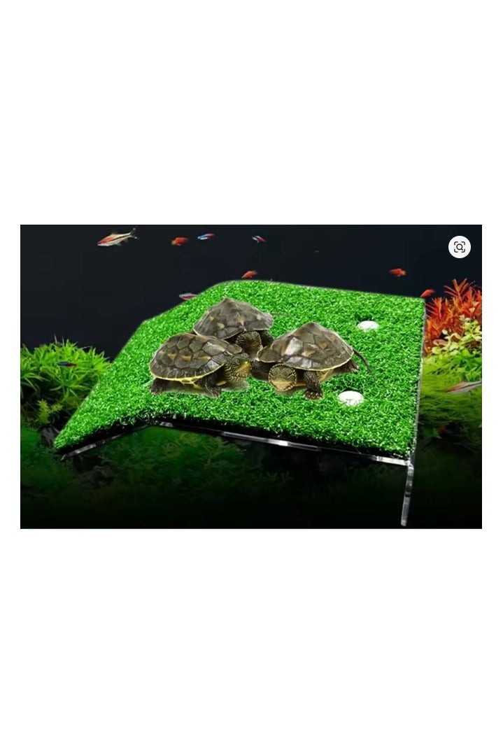 مونبيفي جزيره لراحه السلاحف المائية بحوض السمك - Image 4