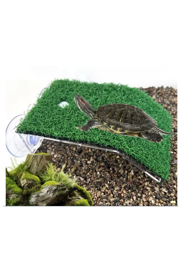 مونبيفي جزيره لراحه السلاحف المائية بحوض السمك - Image 1