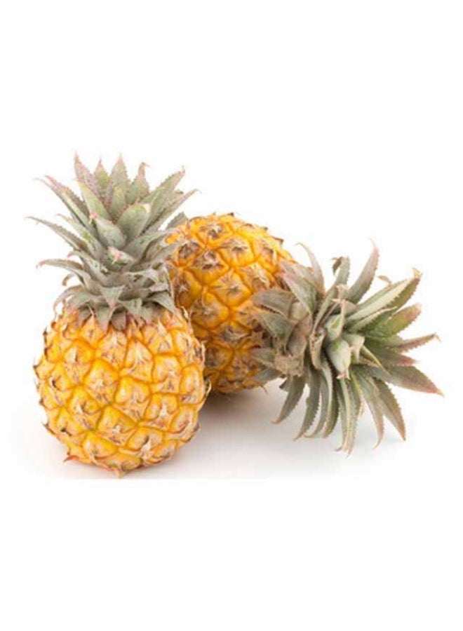 Baby Pineapples , 400g to 500g, South Africa