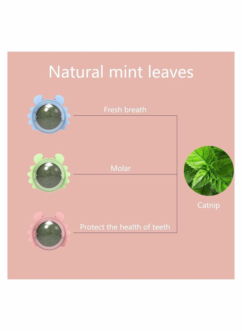 SYOSI Catnip Wall Ball, 3-Piece Cat Toys, Edible Cat Licking Toy, Cat Chew Toy, Teeth Cleaning Cat Bite Toy, Rotatable Indoor Cat Toy, Cat Wall Decoration - Image 2