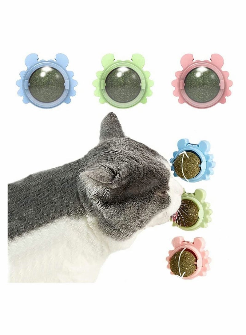 SYOSI Catnip Wall Ball, 3-Piece Cat Toys, Edible Cat Licking Toy, Cat Chew Toy, Teeth Cleaning Cat Bite Toy, Rotatable Indoor Cat Toy, Cat Wall Decoration - Image 1