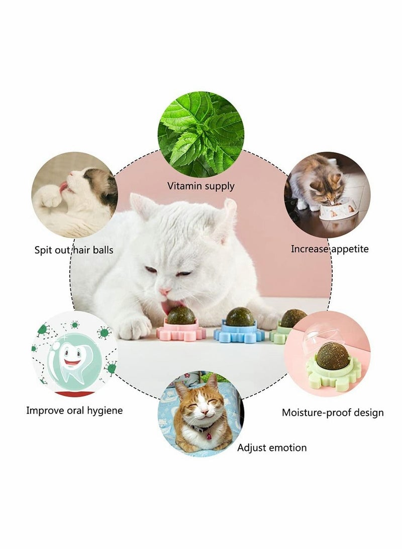 SYOSI Catnip Wall Ball, 3-Piece Cat Toys, Edible Cat Licking Toy, Cat Chew Toy, Teeth Cleaning Cat Bite Toy, Rotatable Indoor Cat Toy, Cat Wall Decoration - Image 4