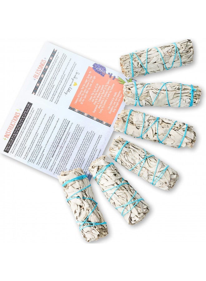 BLUE RIVER SAGE 6 Pack White Sage ~ Sage Smudge Sticks for Smudging & Cleansing Energy ~ Bulk/Wholesale ~ Sustainably Grown (6 Pack) - Image 5