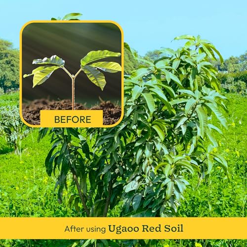 UGAOO Garden Red Soil for All Vegetables, Fruits, Flowers, Trees shrubs, and House Plants - 1 Kg - Image 3