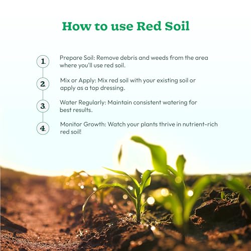 UGAOO Garden Red Soil for All Vegetables, Fruits, Flowers, Trees shrubs, and House Plants - 1 Kg - Image 5