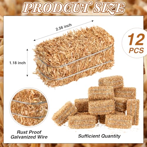 Maasechs 12 Pcs Mini Hay Bales Miniature Hay Bales for Decoration Small Decorative Straw for Easter Scene Rustic Wedding Western Cowboy Themed Birthday Party Decorations 26 x 12 x 12 Inch - Image 3