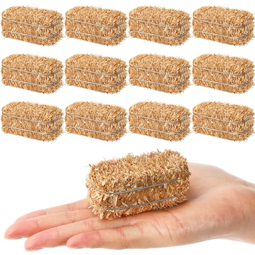 Maasechs 12 Pcs Mini Hay Bales Miniature Hay Bales for Decoration Small Decorative Straw for Easter Scene Rustic Wedding Western Cowboy Themed Birthday Party Decorations 26 x 12 x 12 Inch - Image 1