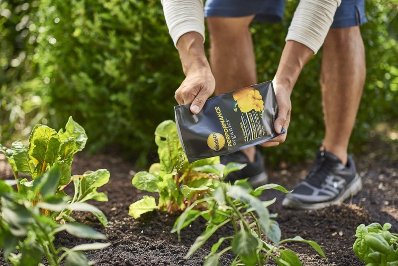 ميركل-جرو 1 MIRACLE GRO MG 1.75LB AP غذاء النبات - Image 2