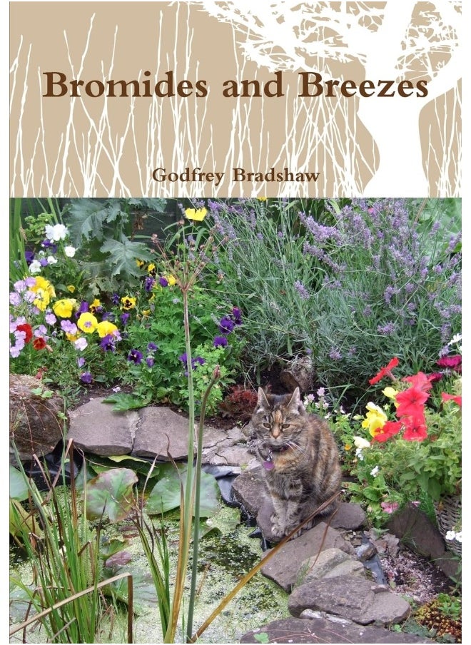 Bromides and Breezes  - Image 1