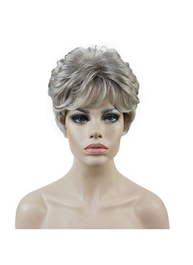 Aimole - Women'S Wigs Short Platinum Silver Gery Natural Wave Synthetic Capless Hair Full Wig(51 Silver Gray) - Image 1