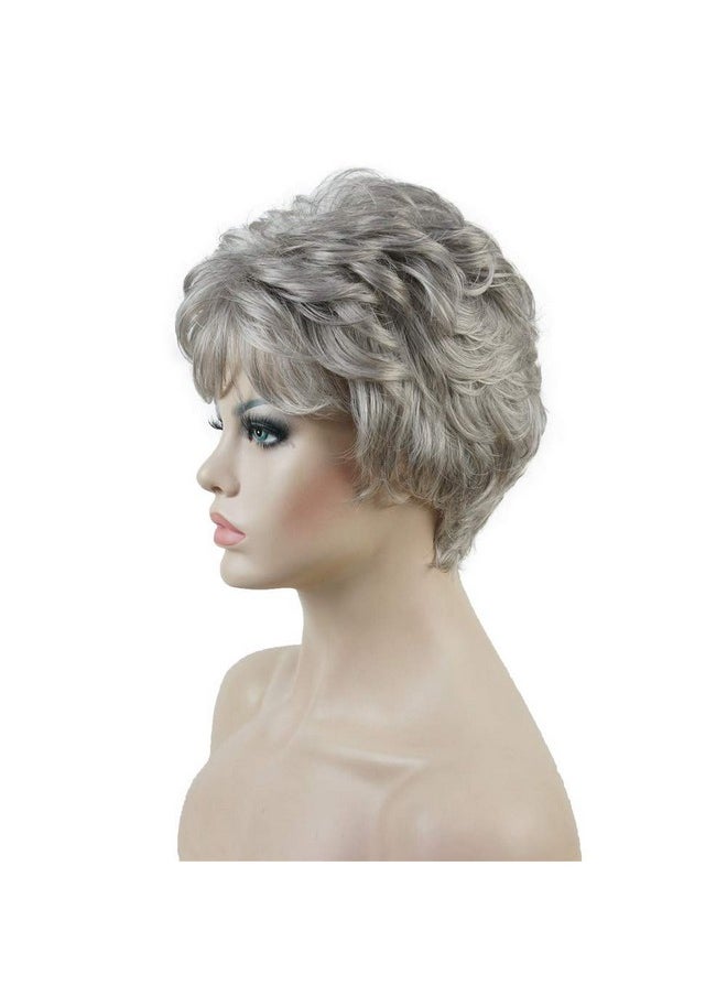 Aimole - Women'S Wigs Short Platinum Silver Gery Natural Wave Synthetic Capless Hair Full Wig(51 Silver Gray) - Image 1
