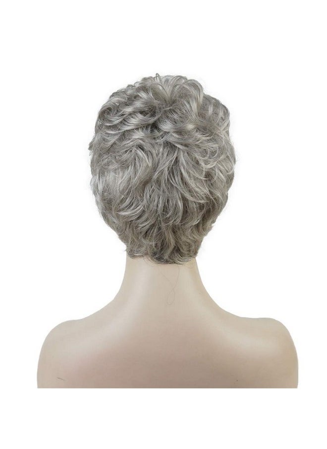 Aimole - Women'S Wigs Short Platinum Silver Gery Natural Wave Synthetic Capless Hair Full Wig(51 Silver Gray) - Image 1