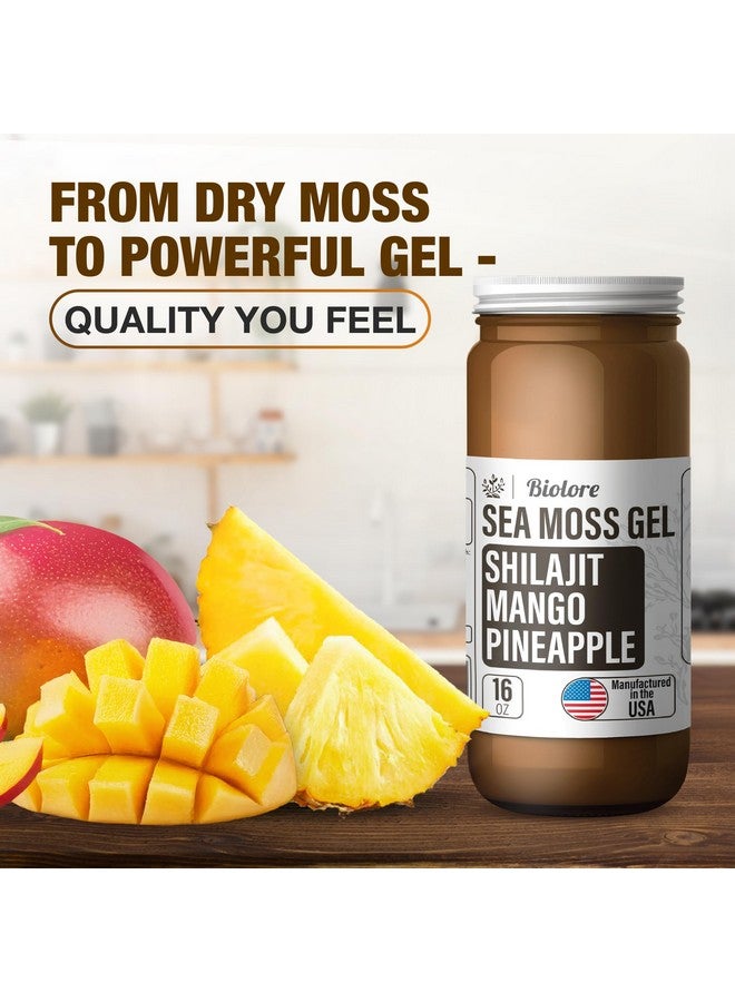 Biolore Sea Moss Gel - Shilajit 16oz, Wildcrafted Irish Seamoss with Essential Vitamins & Trace Minerals, Vegan Superfood Made in USA - Image 3