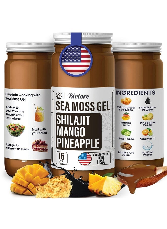 Biolore Sea Moss Gel - Shilajit 16oz, Wildcrafted Irish Seamoss with Essential Vitamins & Trace Minerals, Vegan Superfood Made in USA - Image 1