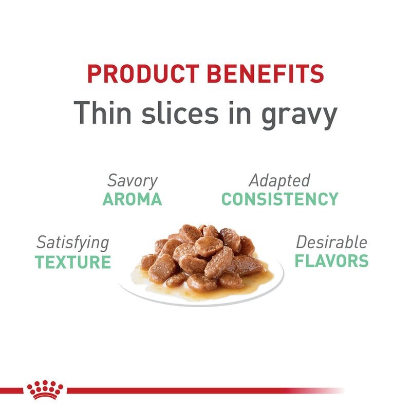 Royal Canin Feline Care Nutrition Digestive Care Adult Thin Slices in Gravy Cat Food, 3 oz (Pack of 12) - Image 3