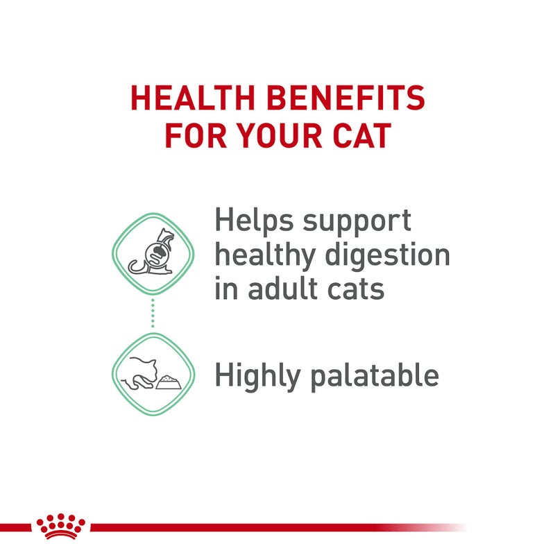 Royal Canin Feline Care Nutrition Digestive Care Adult Thin Slices in Gravy Cat Food, 3 oz (Pack of 12) - Image 4