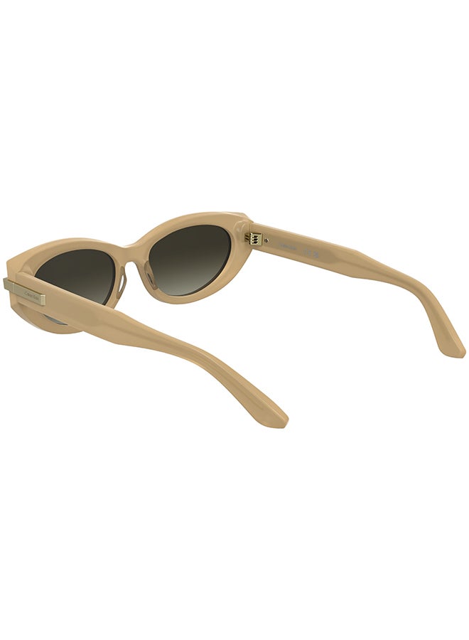 CALVIN KLEIN نظارات شمسية كاملة الإطار من أسيتات كالفن كلاين CK25502S 5417 (209) بيج أوباليني - Image 2