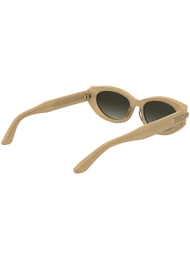 CALVIN KLEIN نظارات شمسية كاملة الإطار من أسيتات كالفن كلاين CK25502S 5417 (209) بيج أوباليني - Image 4