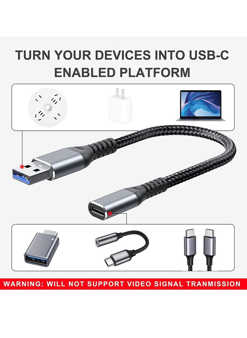 TYCOM - USB C Female to USB Male Adapter, 5inch USB A to Type C Connector, Compatible with iPhone 12 Mini/12 Pro Max/11 Pro Max, Type-C Earphone （2 Packs） - Image 1