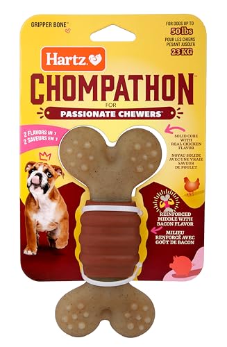 Hartz New Chompathon Gripper Bone Dog Chew Toy for Aggressive Chewers, Double Layered Flavored with Chicken & Bacon - Image 1