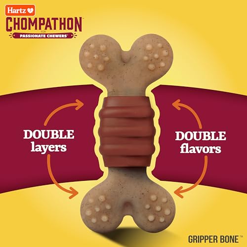 Hartz New Chompathon Gripper Bone Dog Chew Toy for Aggressive Chewers, Double Layered Flavored with Chicken & Bacon - Image 2
