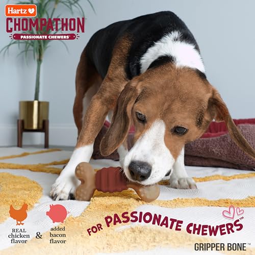 Hartz New Chompathon Gripper Bone Dog Chew Toy for Aggressive Chewers, Double Layered Flavored with Chicken & Bacon - Image 3