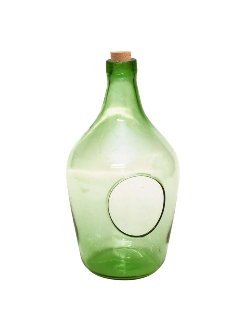 Fruits Open Terrarium Bottle 3 L 16 X 15.8 X 30.2 Cm - pzsku/Z65012A75E388C49206B8Z/45/_/1691060639/1b813de6-85fa-4a0d-b804-be2a85b09973