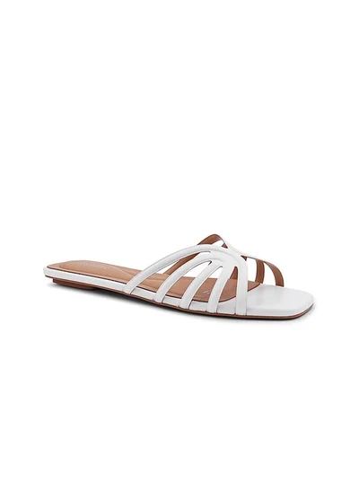 كابلي Cuple Embellished Multi Strap Flat Slides