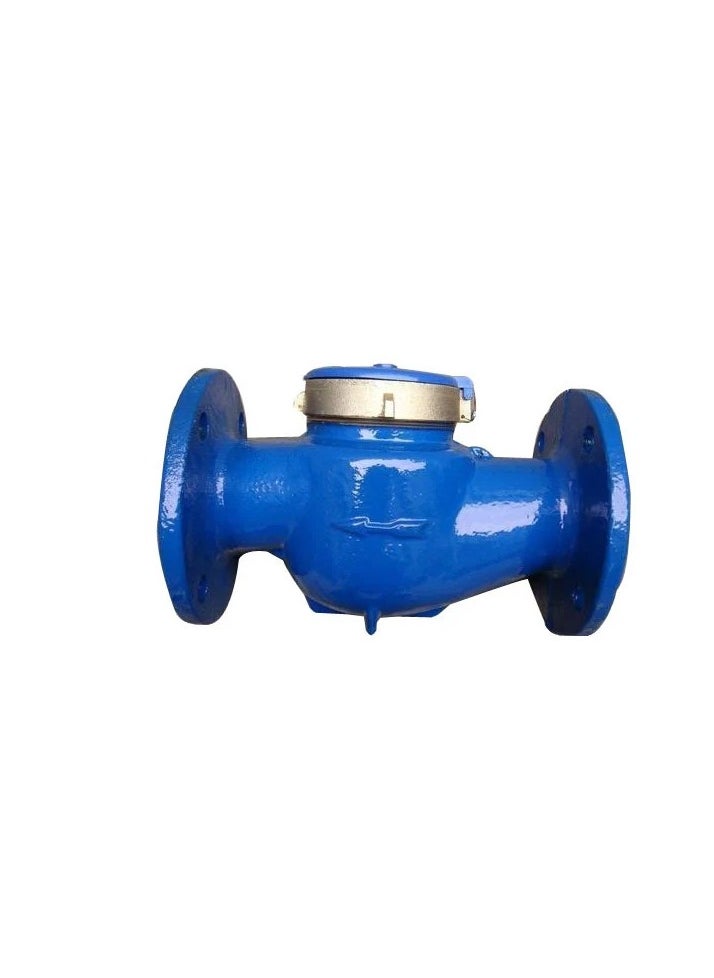 ABBASALI 3''water Meter Brass Cover Lxs-80E  - Image 3