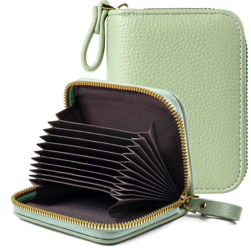 EcoVision Credit Card Holder RFID Card Case Wallet, Small Accordion Zipper Card Case Holder, Card Organizer Case for Women Men - Image 1